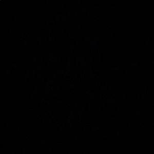 Meet your Posher, Kivanc